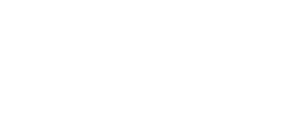 VICE